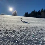 Alte Foersterei Wildenthal In - 5 * אייבנשטוק