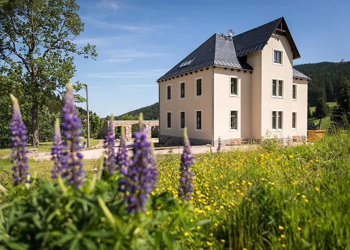 Lägenhet Familien Ferienwohnung In Eibenstock Mit Sauna Eibenstock