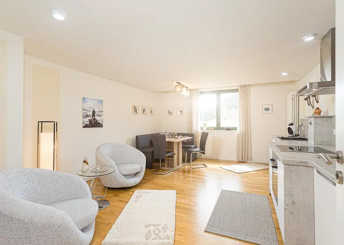 Lägenhet Familien Ferienwohnung In Eibenstock Mit Sauna