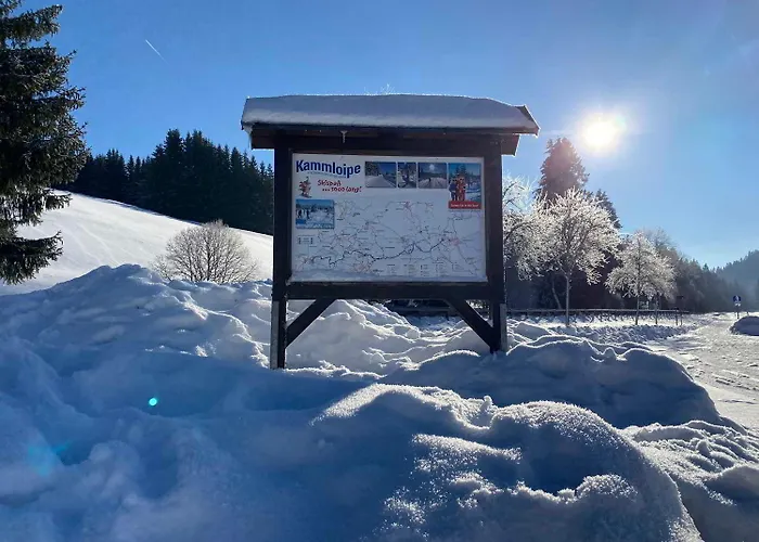 Familien Ferienwohnung In Eibenstock Mit Sauna * Eibenstock