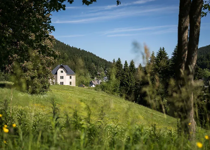 Lägenhet Familien Ferienwohnung In Eibenstock Mit Sauna Eibenstock